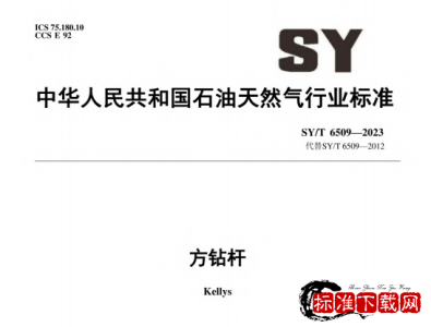 SY/T 6509-2023 方钻杆.pdf